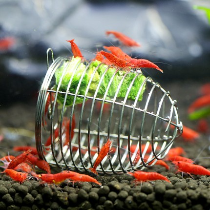 Foodcage for shrimp
